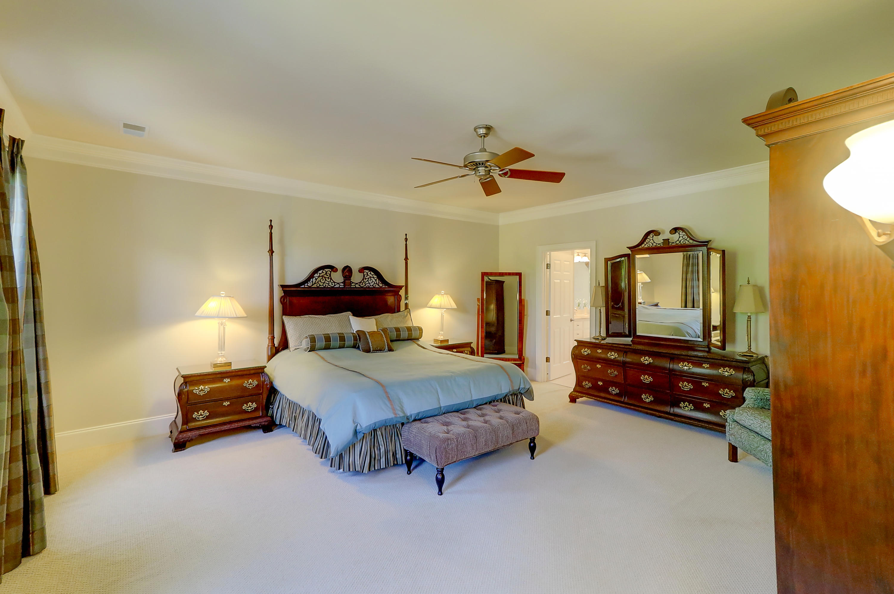 234 Little Palm Loop Mount Pleasant, SC 29464 - Photo 21 of 48 234 Little Palm Loop (43)