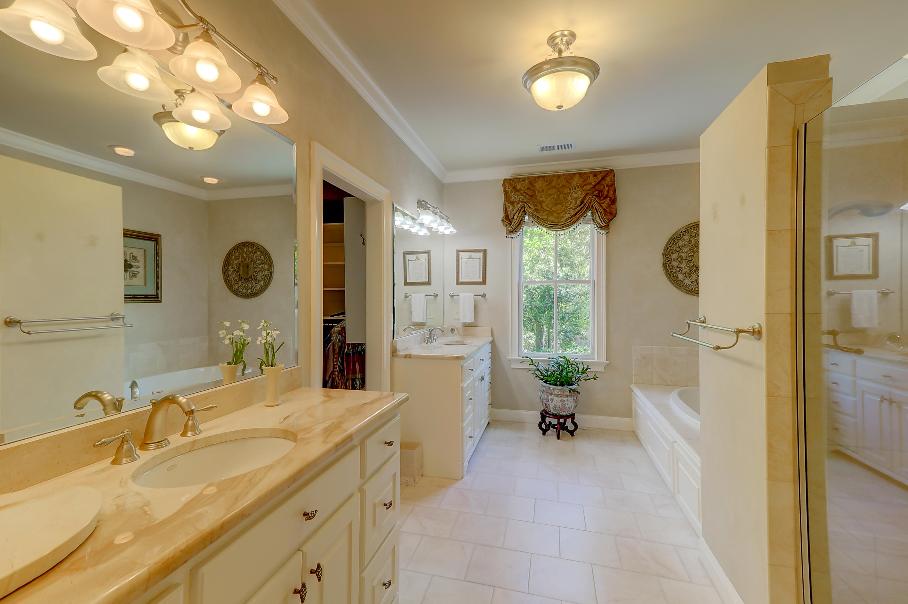 234 Little Palm Loop Mount Pleasant, SC 29464 - Photo 23 of 48 234 Little Palm Loop (45)