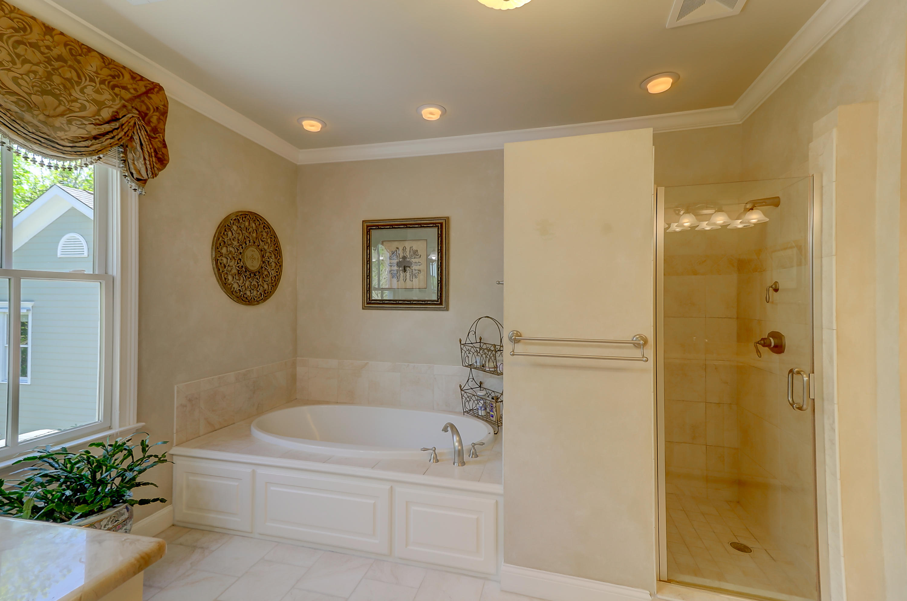 234 Little Palm Loop Mount Pleasant, SC 29464 - Photo 24 of 48 234 Little Palm Loop (46)