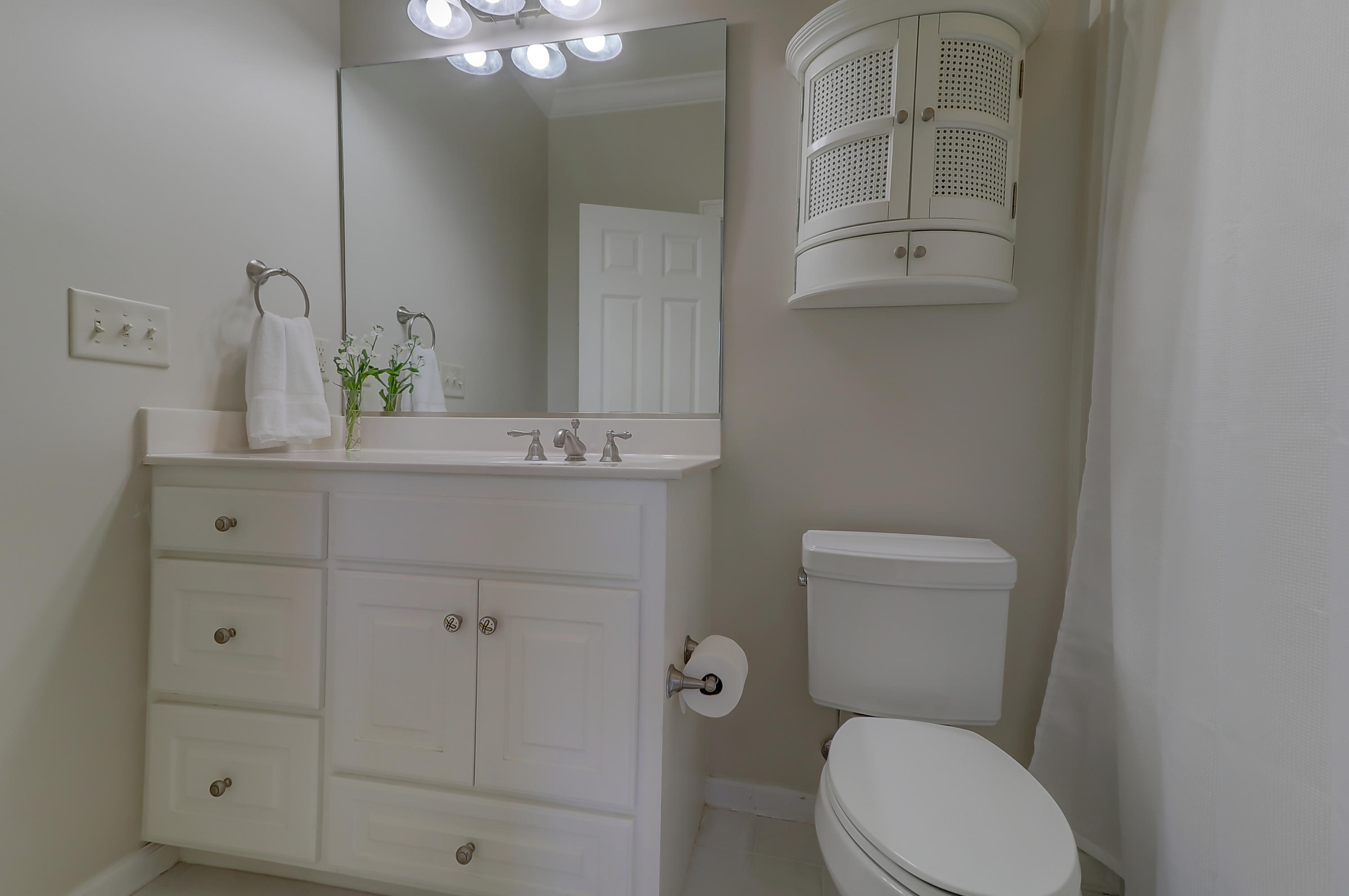 234 Little Palm Loop Mount Pleasant, SC 29464 - Photo 28 of 48 234 Little Palm Loop (33)