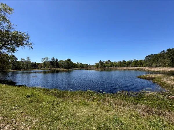 $35,000 | Tbd River Jordan Road, Shepherd, TX 77371