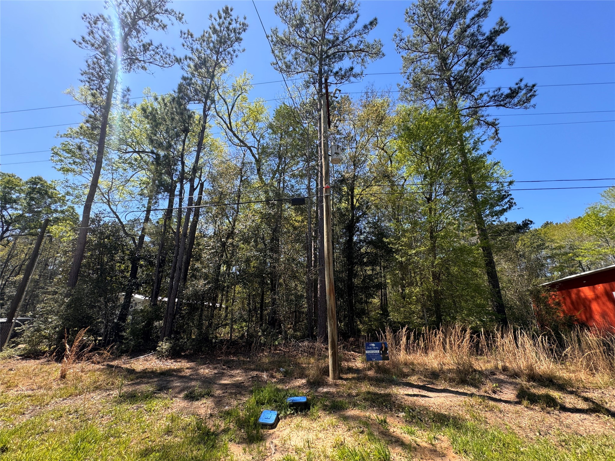 Tbd River Jordan Road Shepherd, TX 77371 - Photo 6 of 6