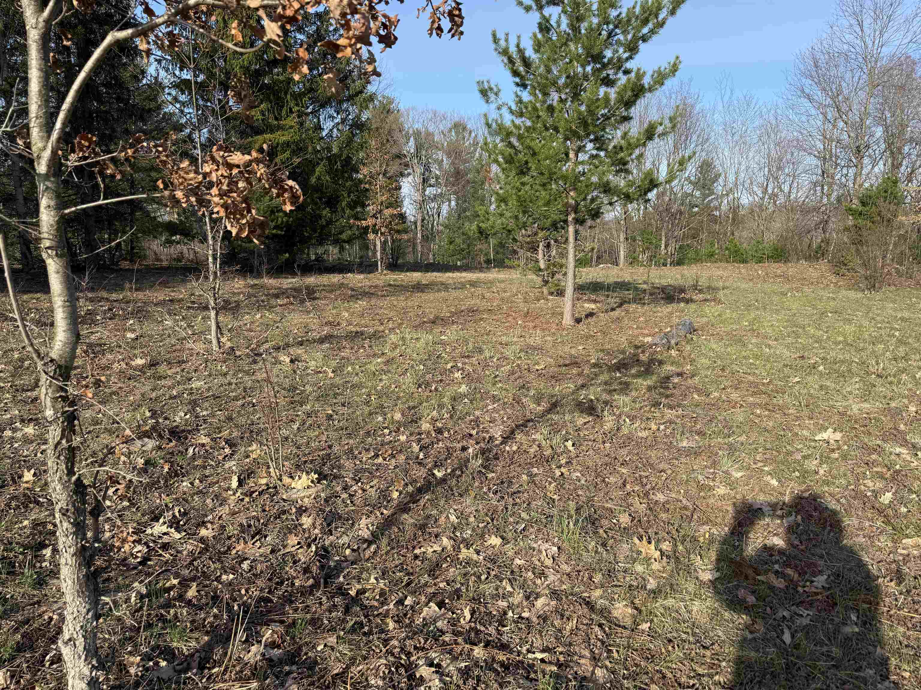 Parcel D North Carmean Road Interlochen, MI 49643 - Photo 12 of 12