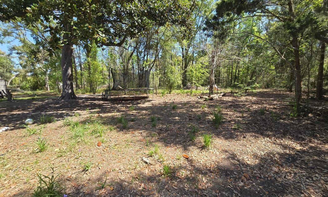 1764 Dice Road Perry, FL 32348 - Photo 3 of 34