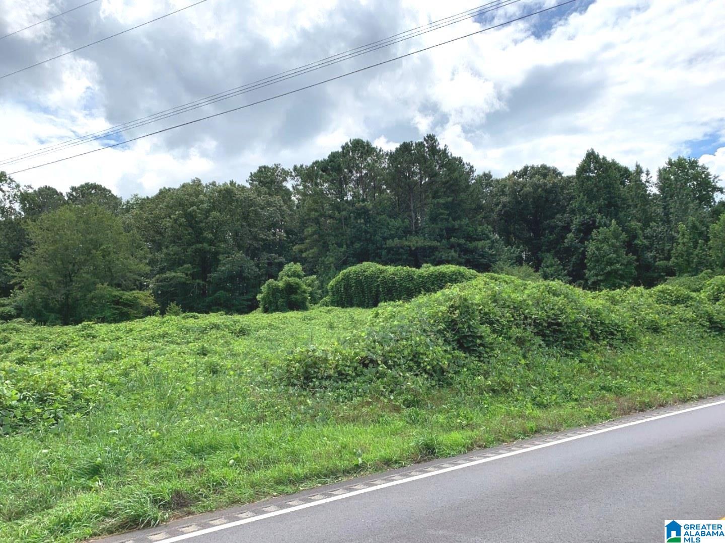 16756 Highway 78, Unit 78 ACRE Fruithurst, AL 36262 - Photo 2 of 6