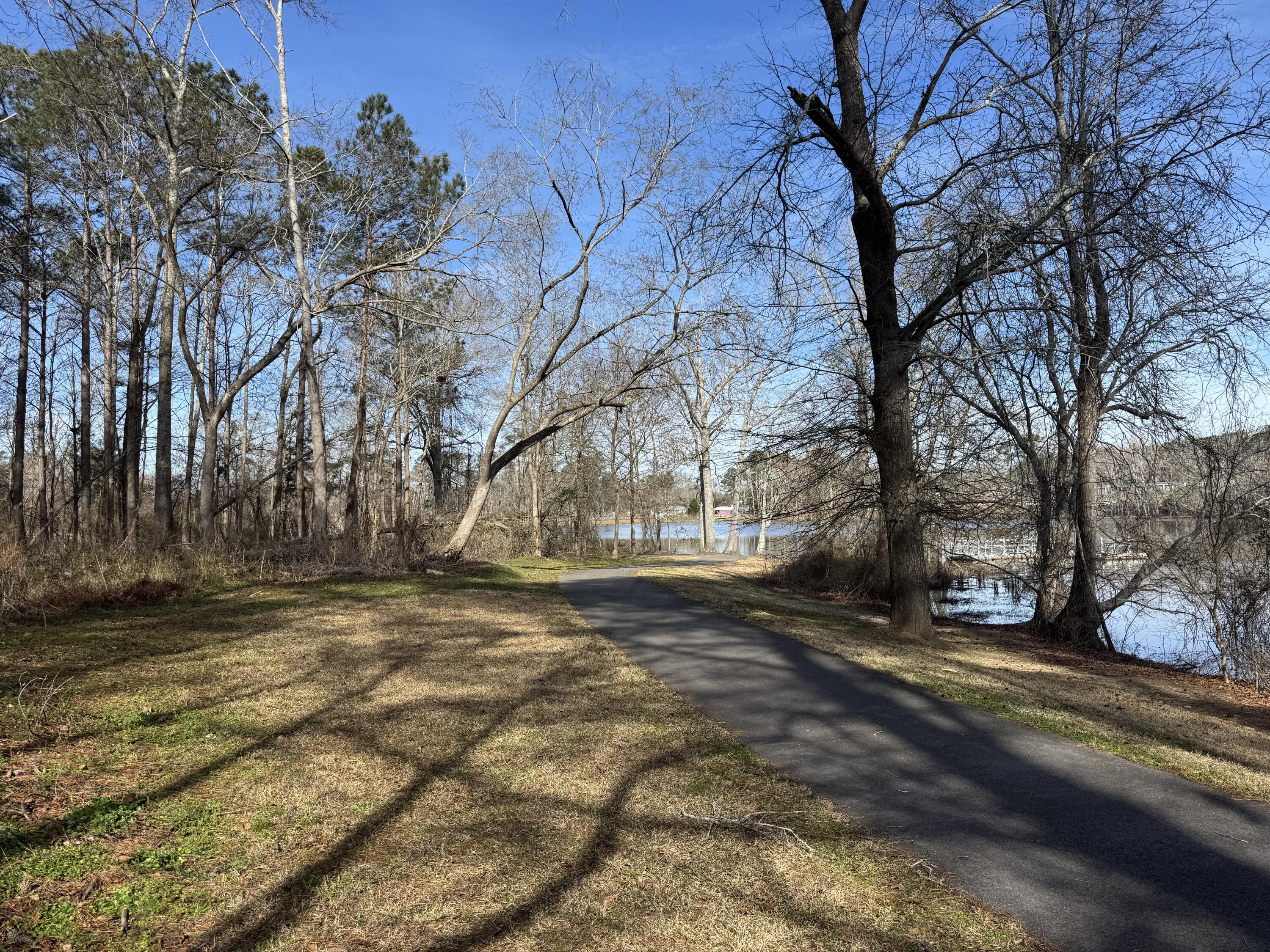 1 Planer Road Edgefield, SC 29824 - Photo 11 of 13