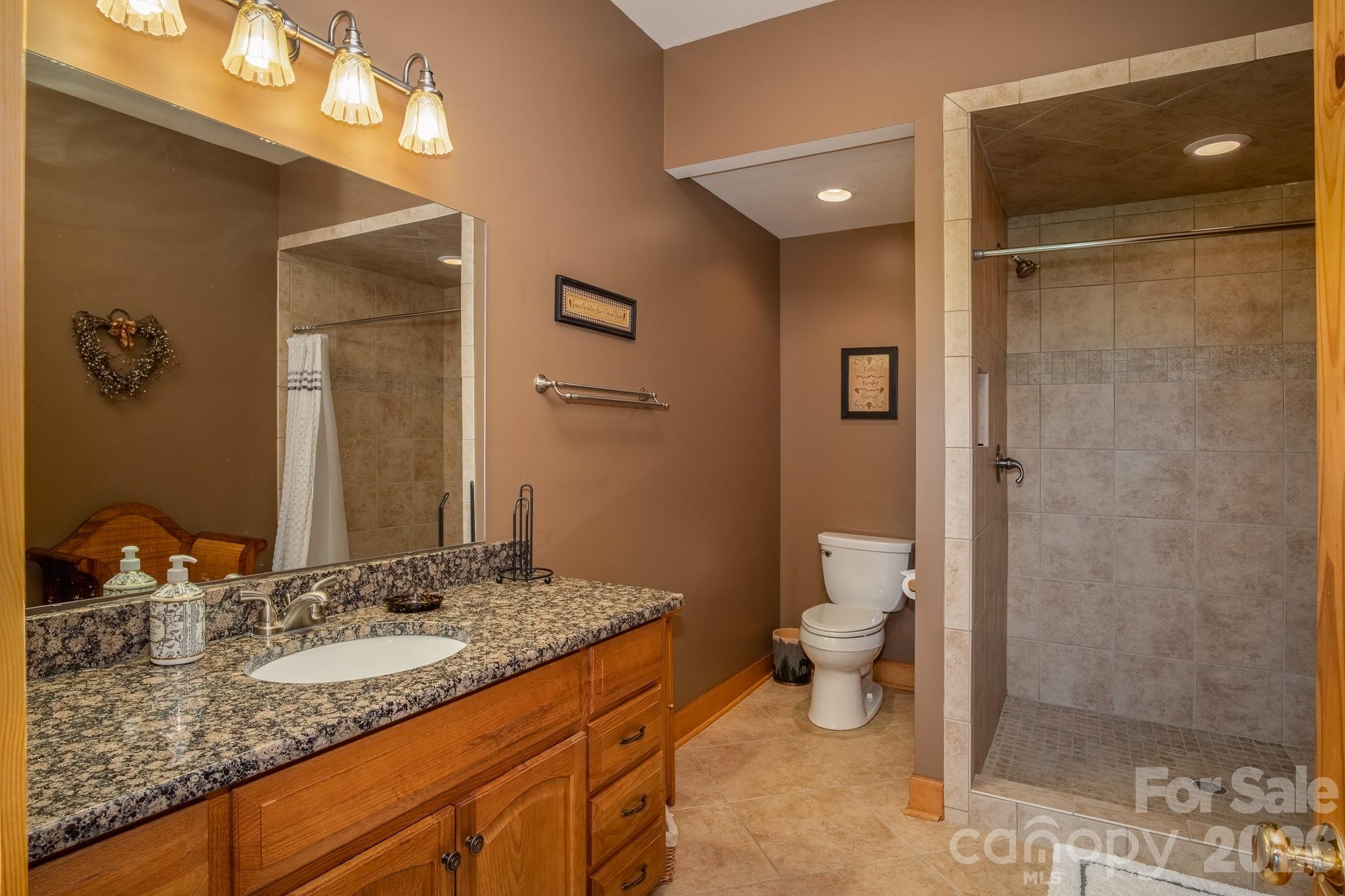 79 Brandy Ridge Road Brevard, NC 28712 - Photo 29 of 39