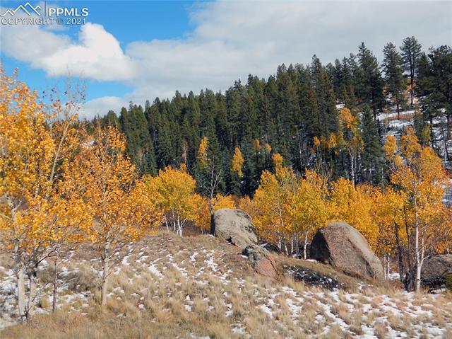 2130 Pathfinder Road Florissant, CO 80816 - Photo 15 of 32 Gallery Image 15