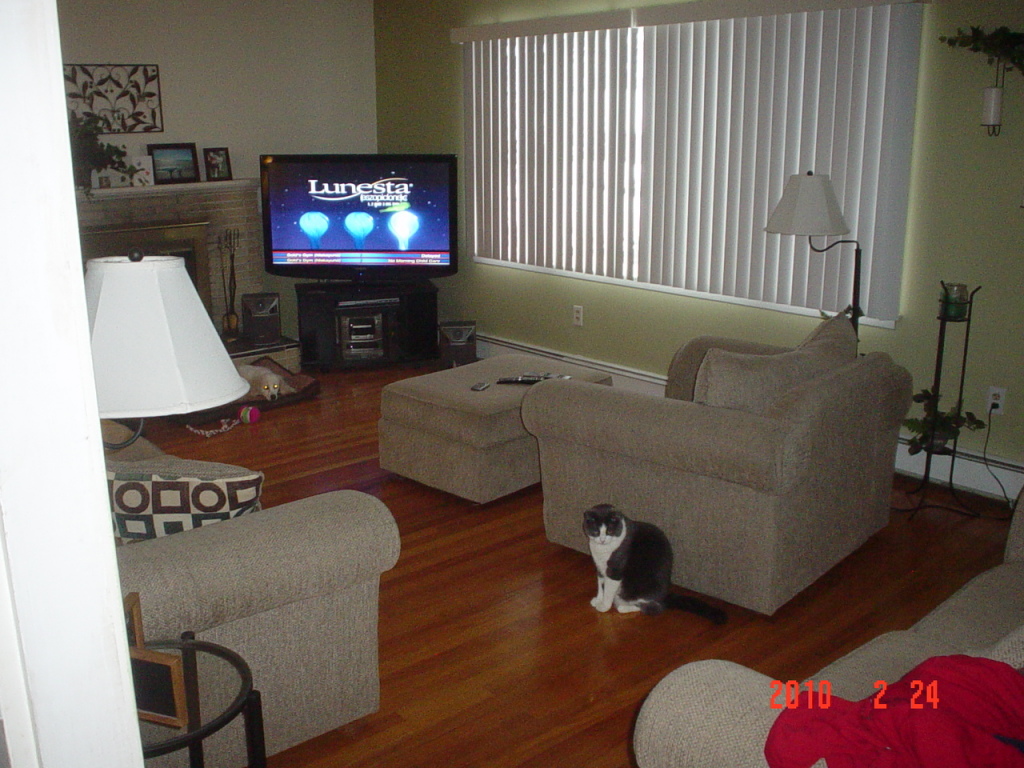 83 Oak Hill Road Pittsfield, MA 01201 - Photo 3 of 7 living room