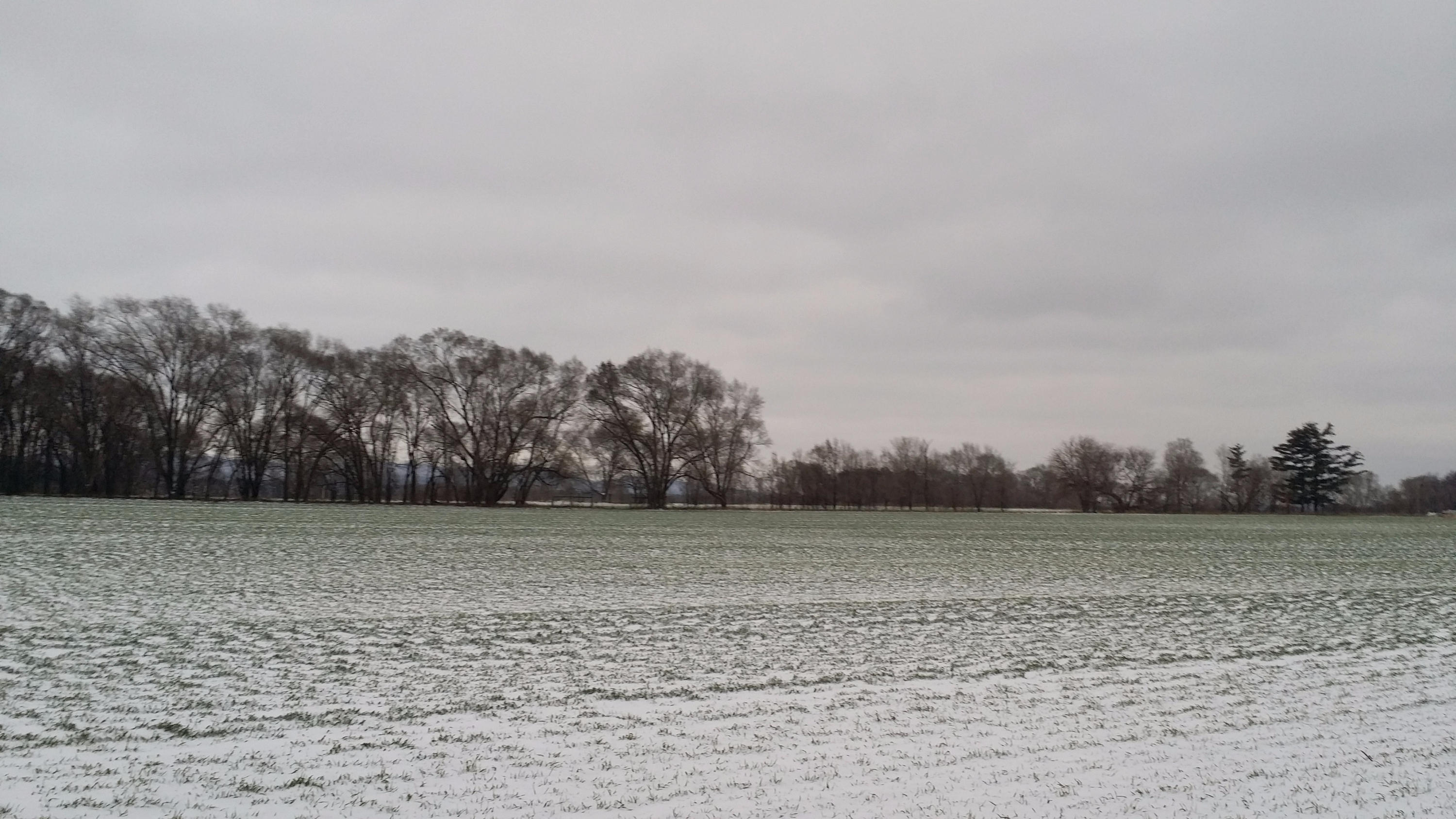 20141124_160603