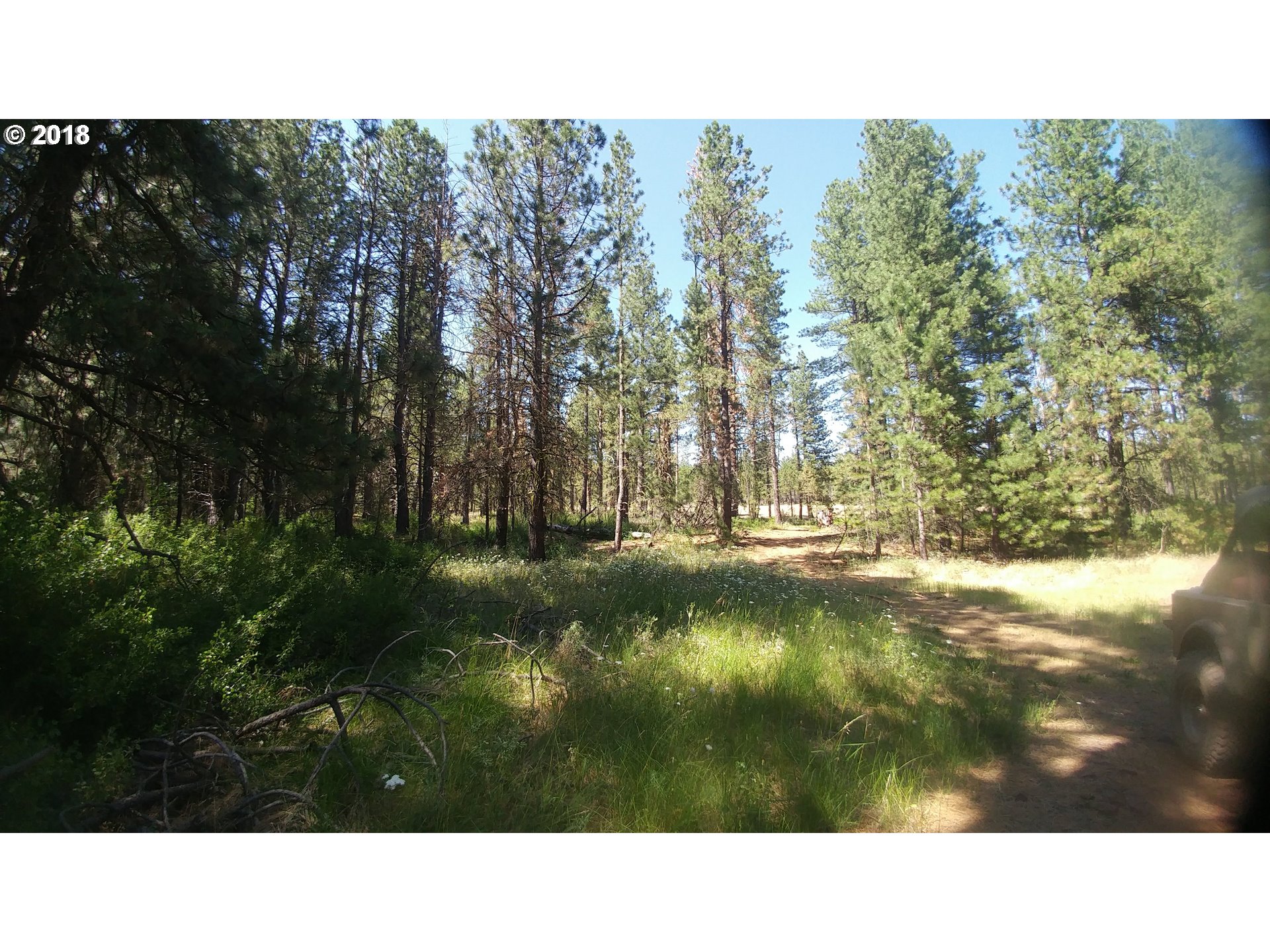 Pine Creek Road Roosevelt, WA 99356 - Photo 1 of 28 Gallery Image 1
