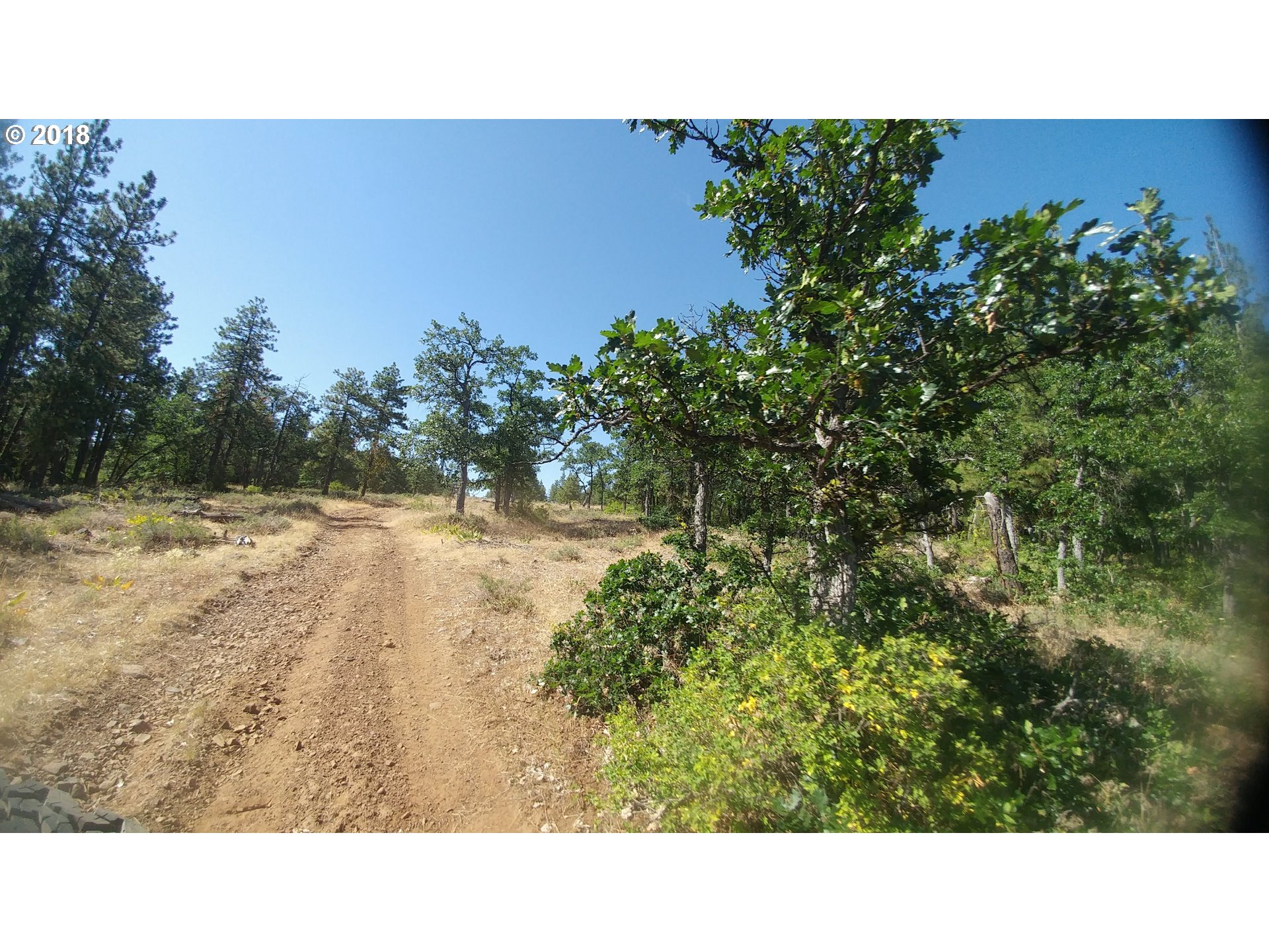 Pine Creek Road Roosevelt, WA 99356 - Photo 2 of 28 Gallery Image 2