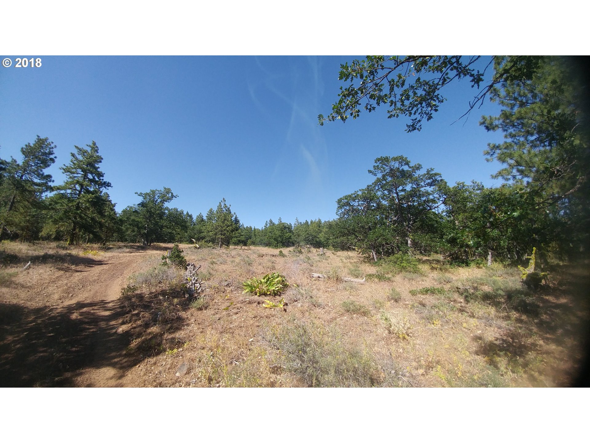 Pine Creek Road Roosevelt, WA 99356 - Photo 12 of 28 Gallery Image 12