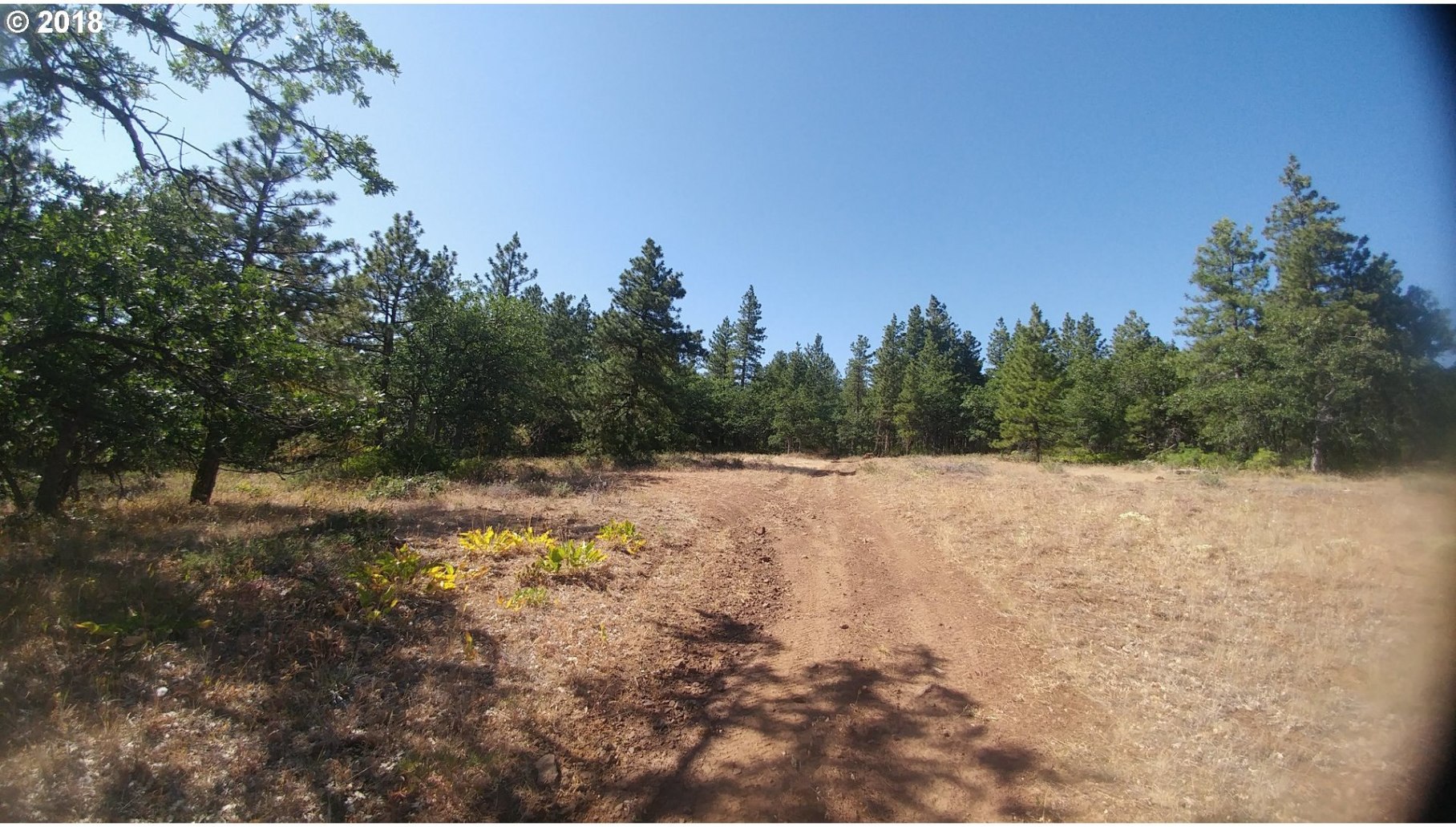 Pine Creek Road Roosevelt, WA 99356 - Photo 13 of 28 Gallery Image 13
