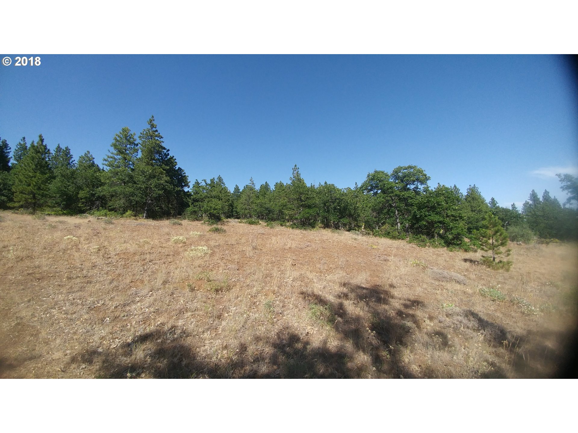 Pine Creek Road Roosevelt, WA 99356 - Photo 14 of 28 Gallery Image 14