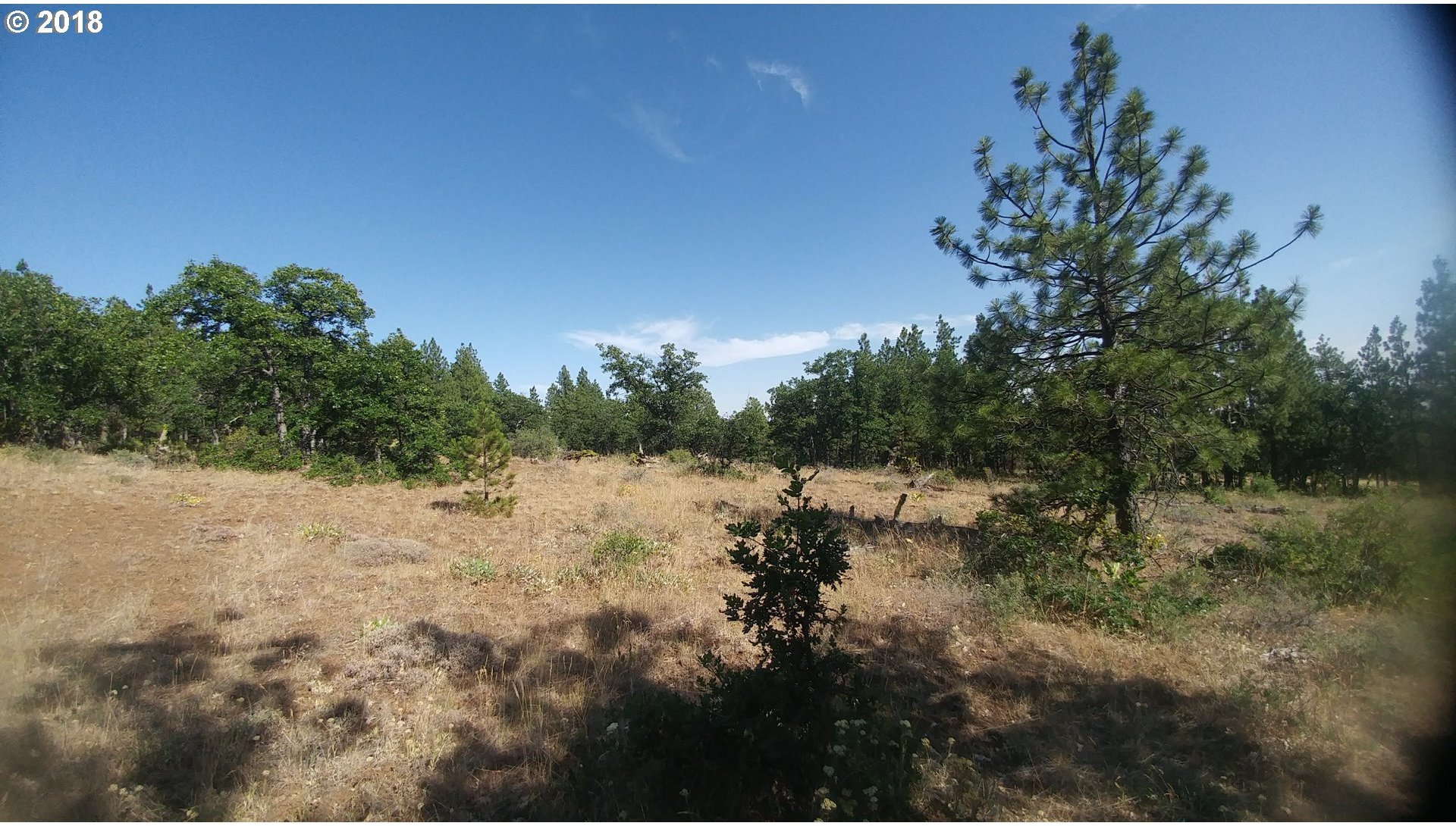 Pine Creek Road Roosevelt, WA 99356 - Photo 15 of 28 Gallery Image 15