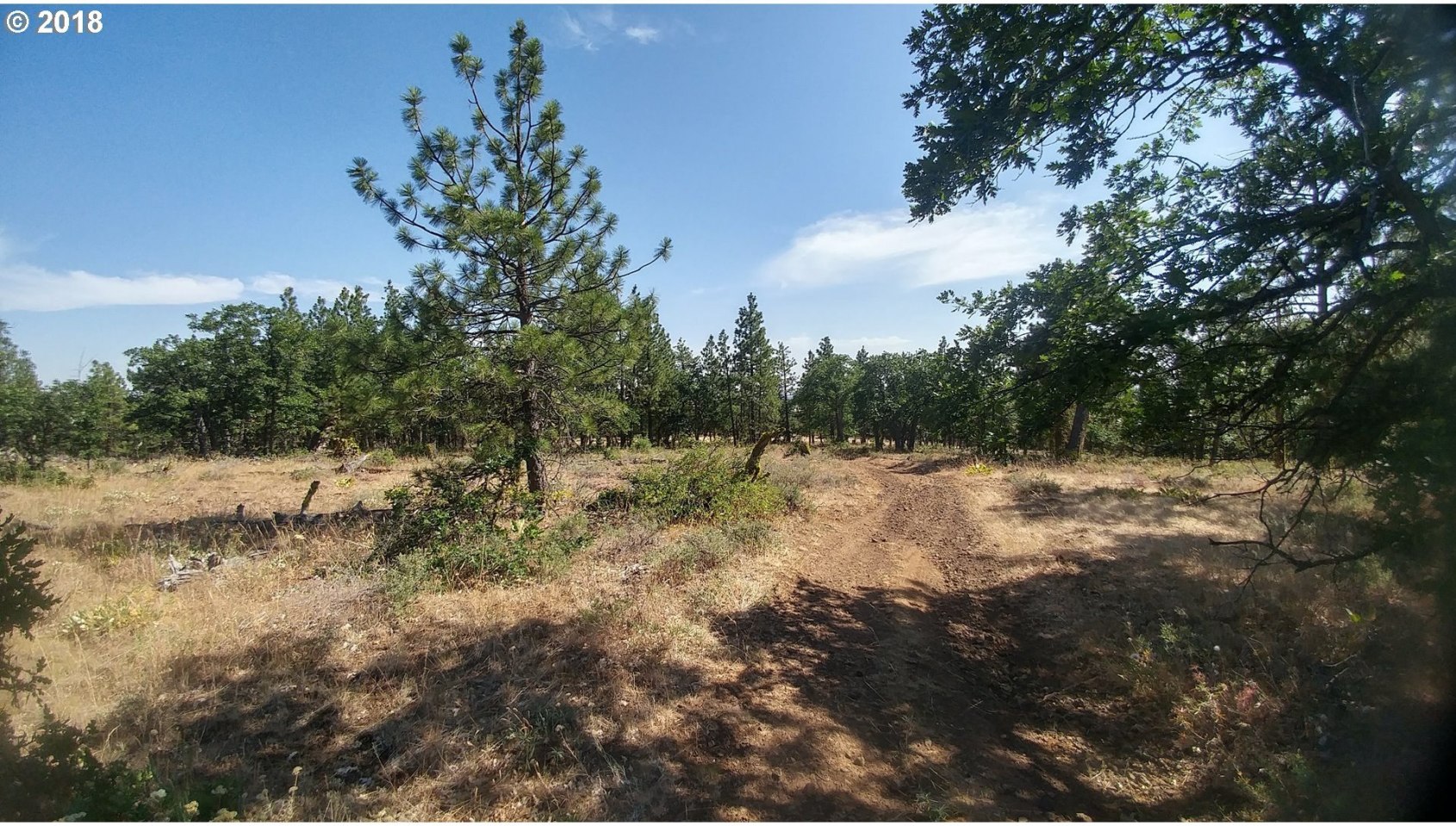 Pine Creek Road Roosevelt, WA 99356 - Photo 16 of 28 Gallery Image 16