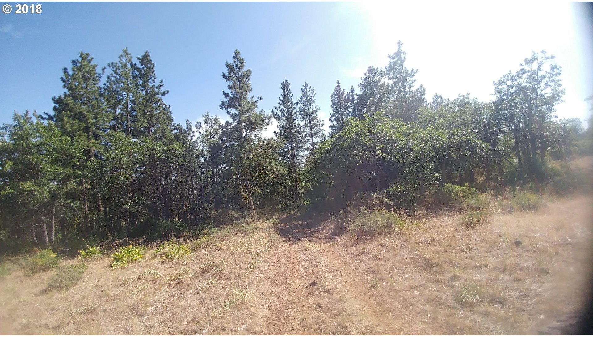 Pine Creek Road Roosevelt, WA 99356 - Photo 19 of 28 Gallery Image 19