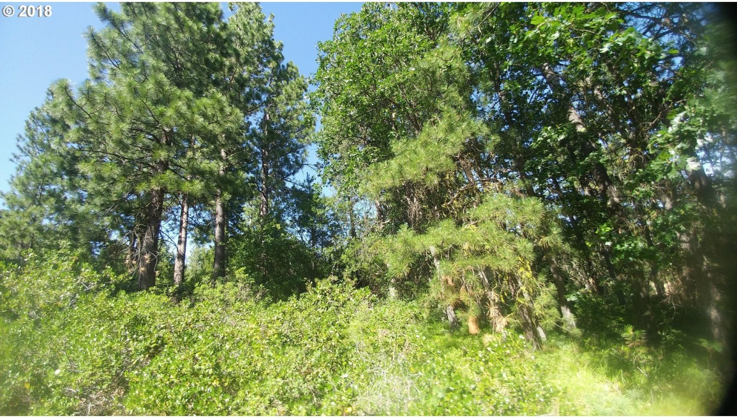 Pine Creek Road Roosevelt, WA 99356 - Photo 20 of 28 Gallery Image 20