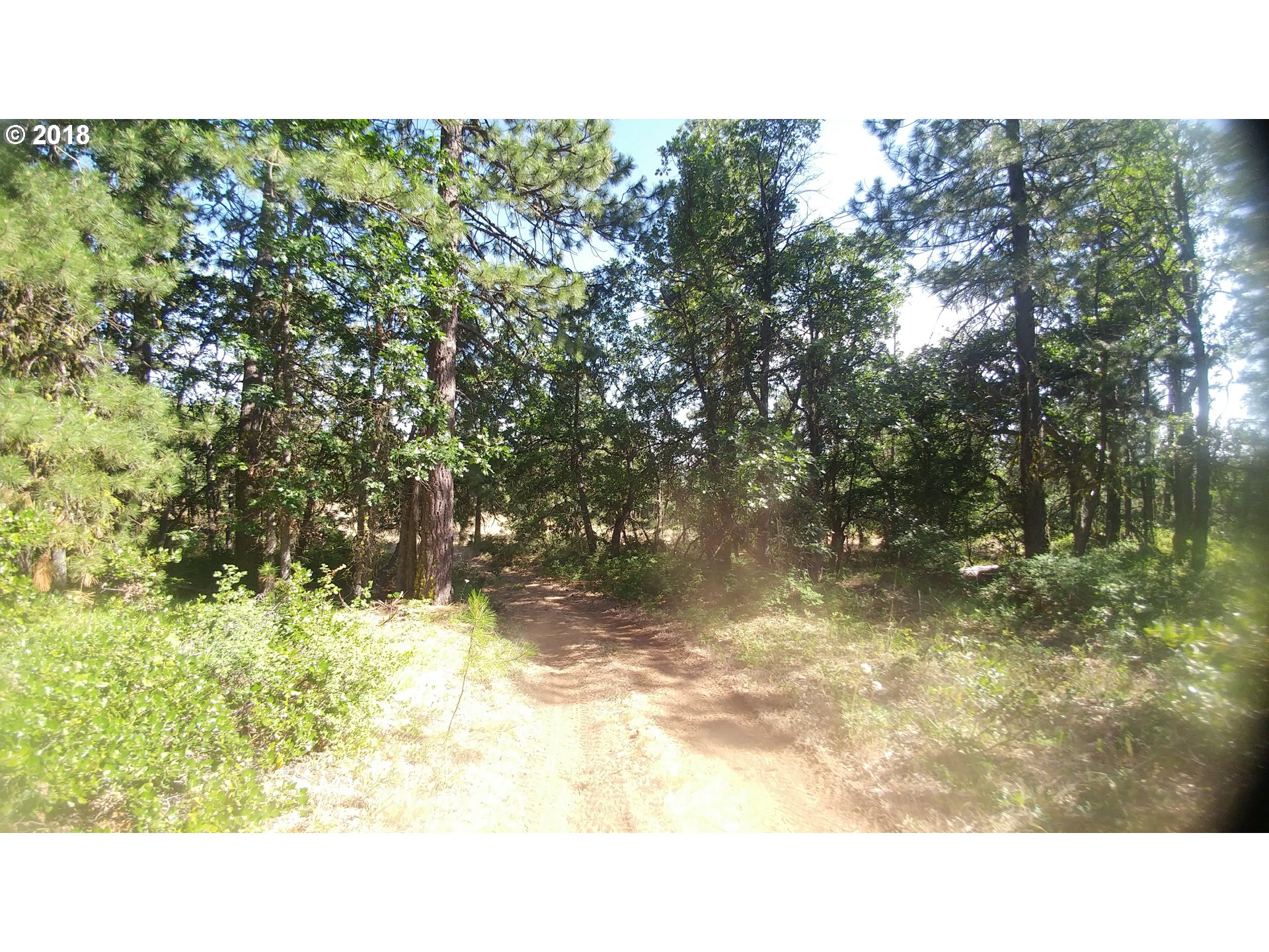 Pine Creek Road Roosevelt, WA 99356 - Photo 21 of 28 Gallery Image 21