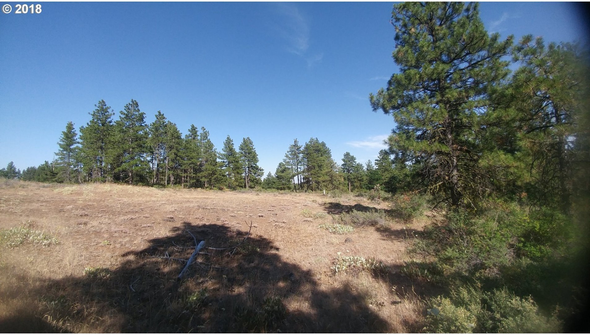 Pine Creek Road Roosevelt, WA 99356 - Photo 22 of 28 Gallery Image 22