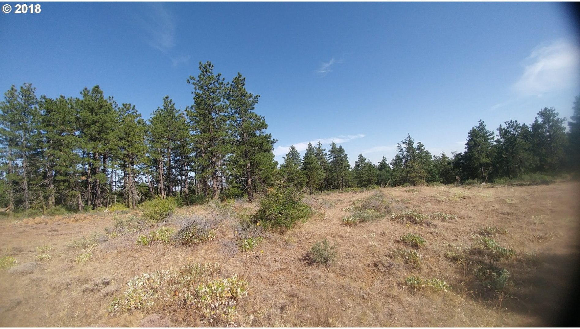 Pine Creek Road Roosevelt, WA 99356 - Photo 23 of 28 Gallery Image 23