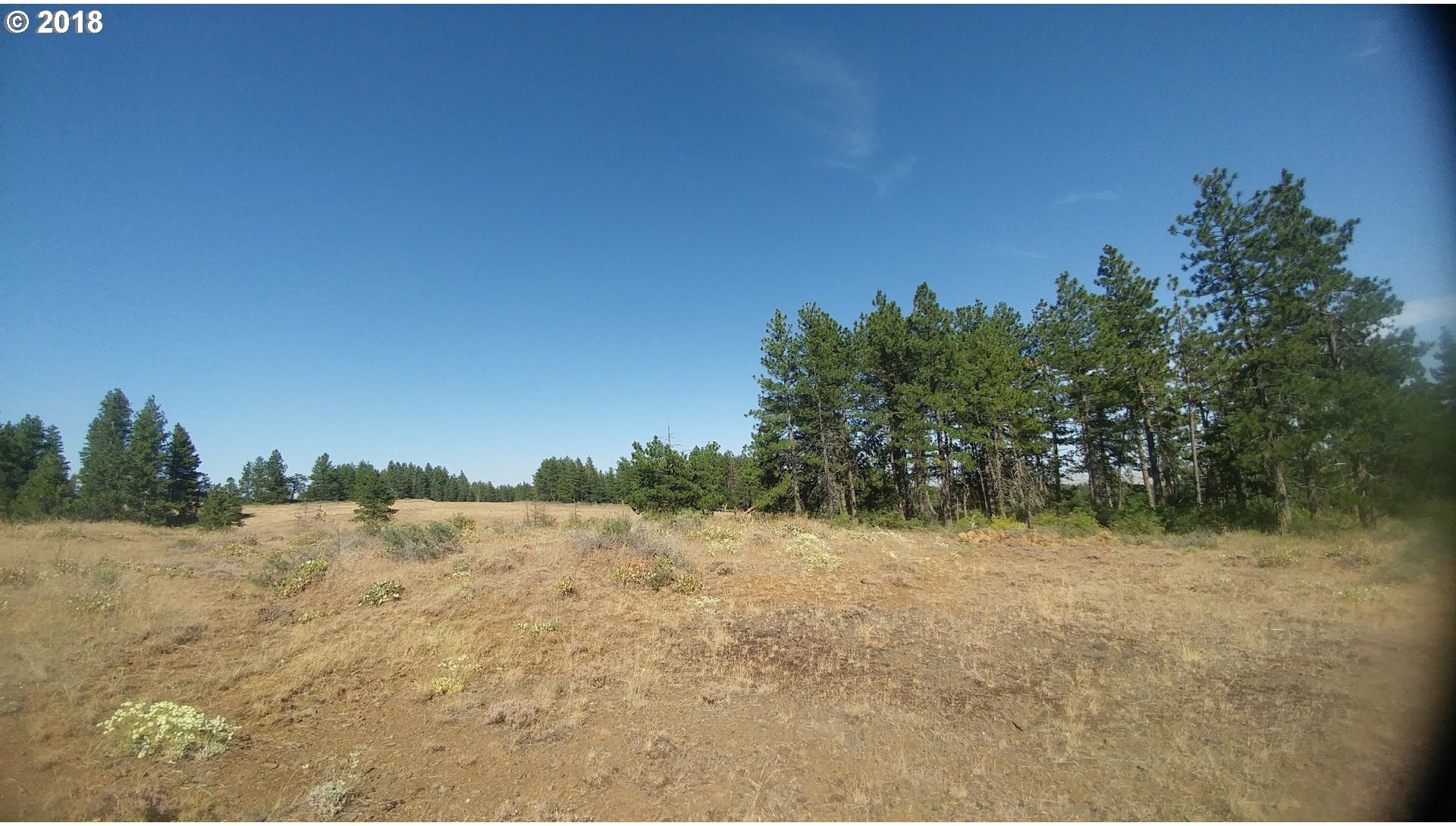 Pine Creek Road Roosevelt, WA 99356 - Photo 25 of 28 Gallery Image 25