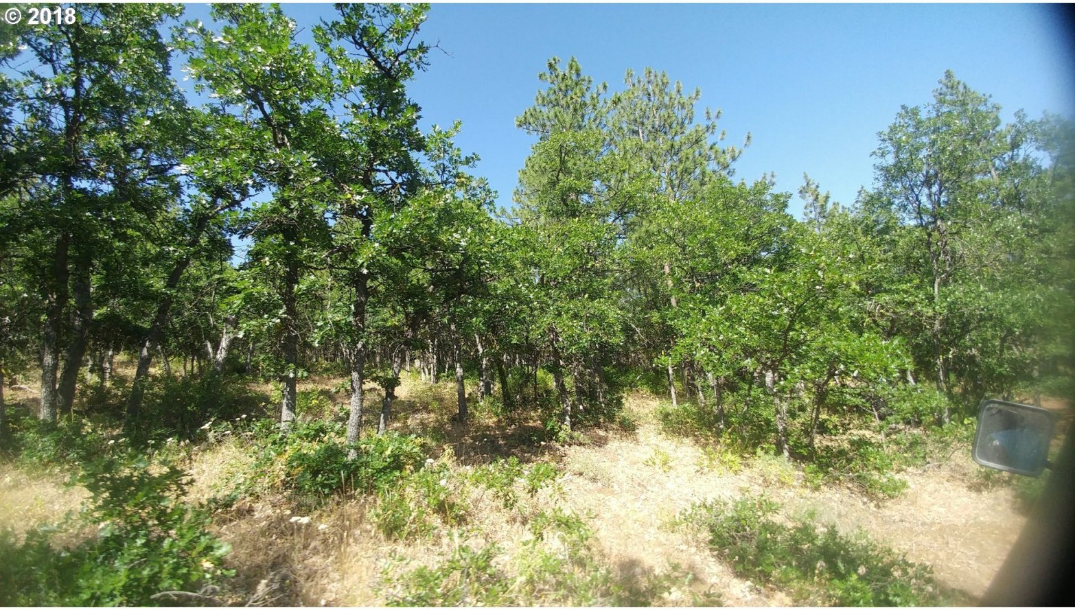 Pine Creek Road Roosevelt, WA 99356 - Photo 4 of 28 Gallery Image 4