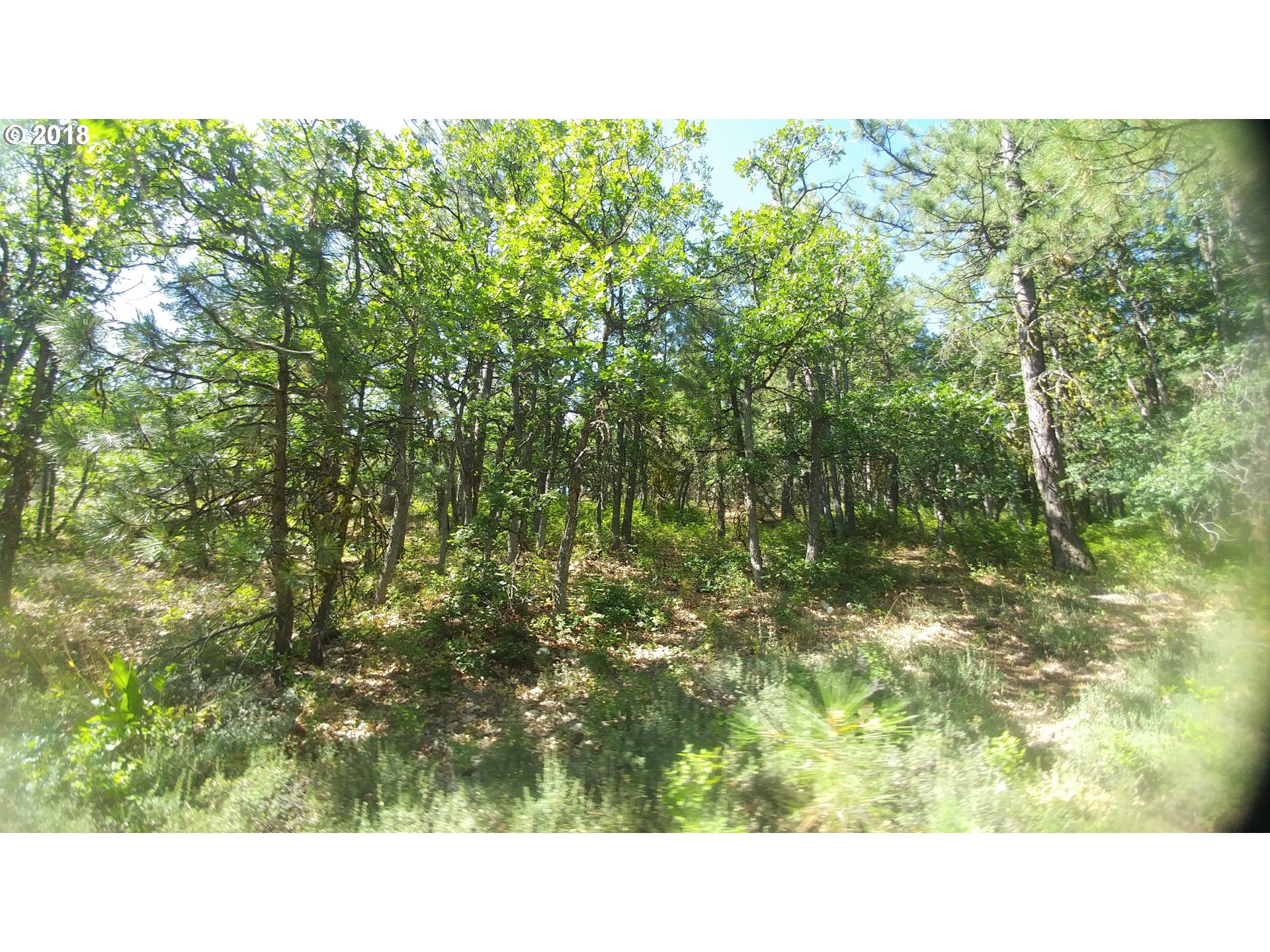 Pine Creek Road Roosevelt, WA 99356 - Photo 5 of 28 Gallery Image 5