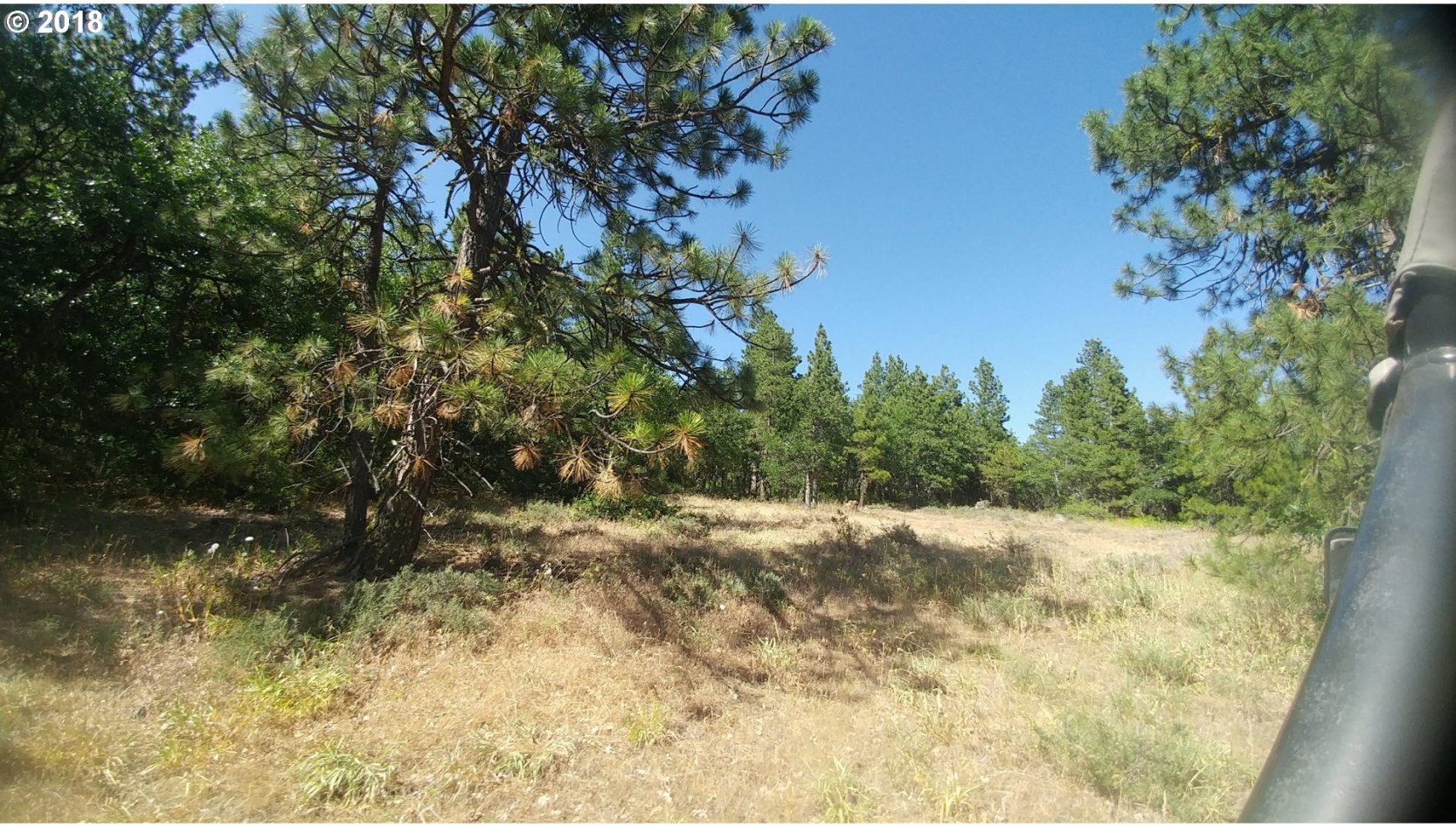 Pine Creek Road Roosevelt, WA 99356 - Photo 8 of 28 Gallery Image 8