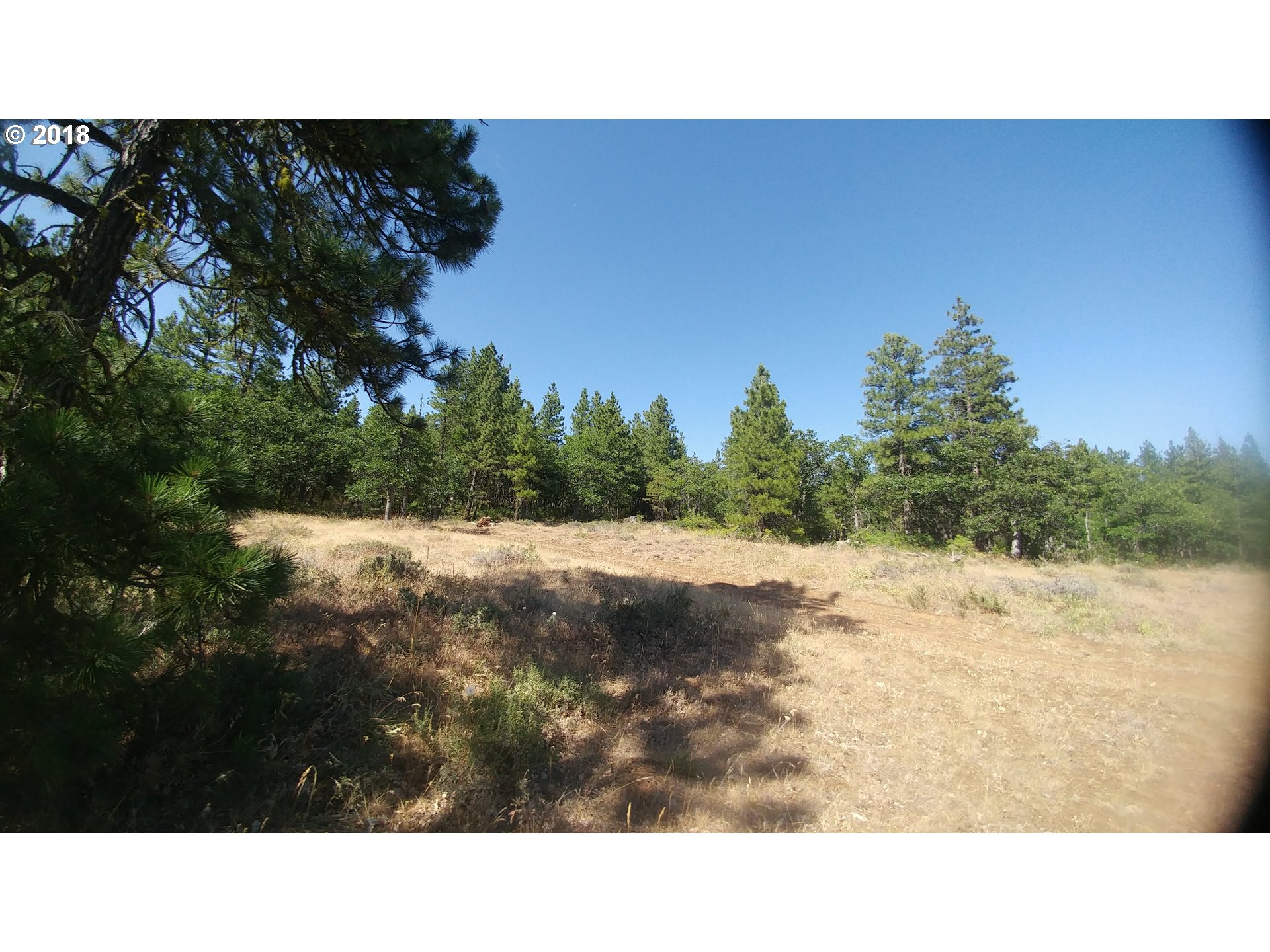 Pine Creek Road Roosevelt, WA 99356 - Photo 9 of 28 Gallery Image 9