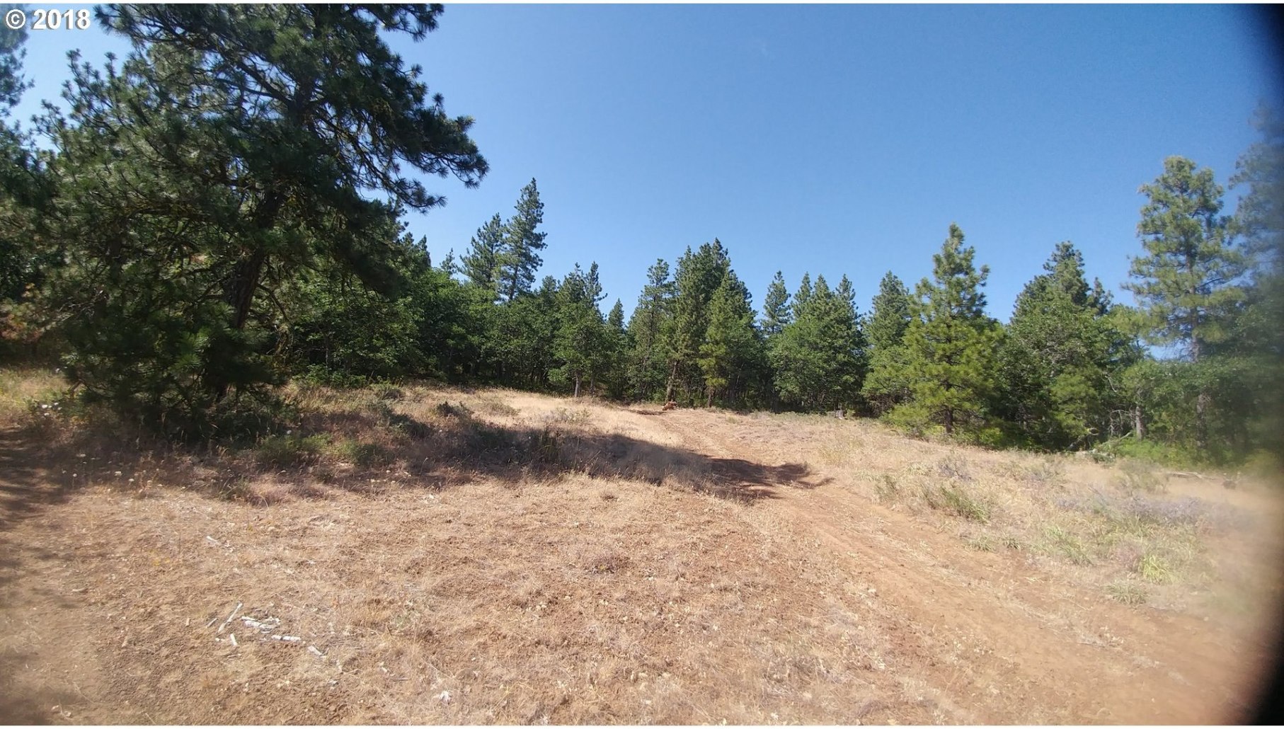 Pine Creek Road Roosevelt, WA 99356 - Photo 10 of 28 Gallery Image 10