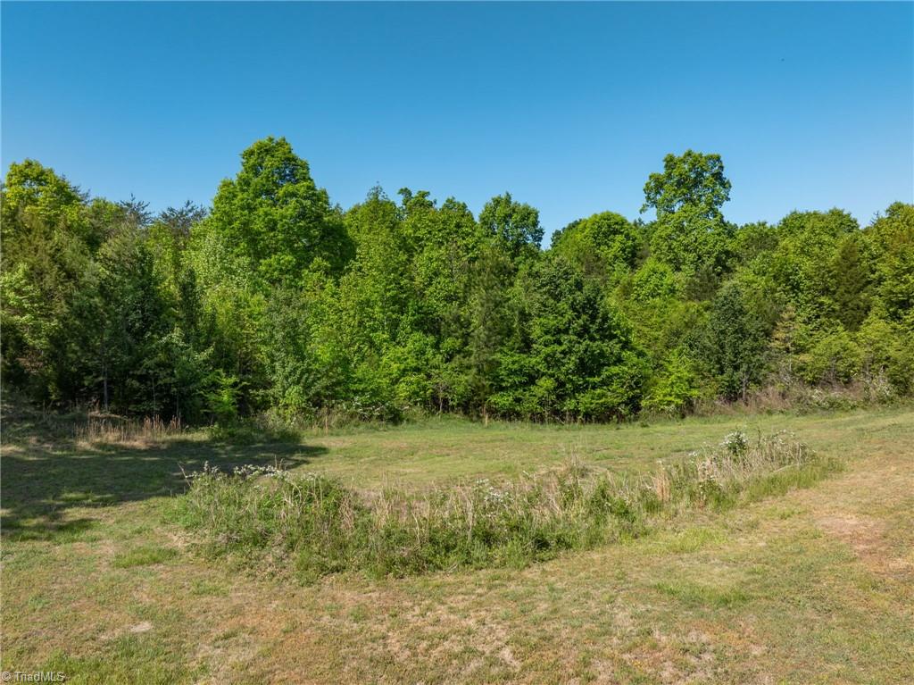 4657 Alpine Drive Trinity, NC 27370 - Photo 13 of 16