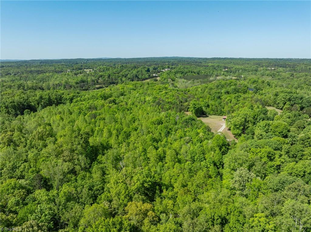 4657 Alpine Drive Trinity, NC 27370 - Photo 3 of 16