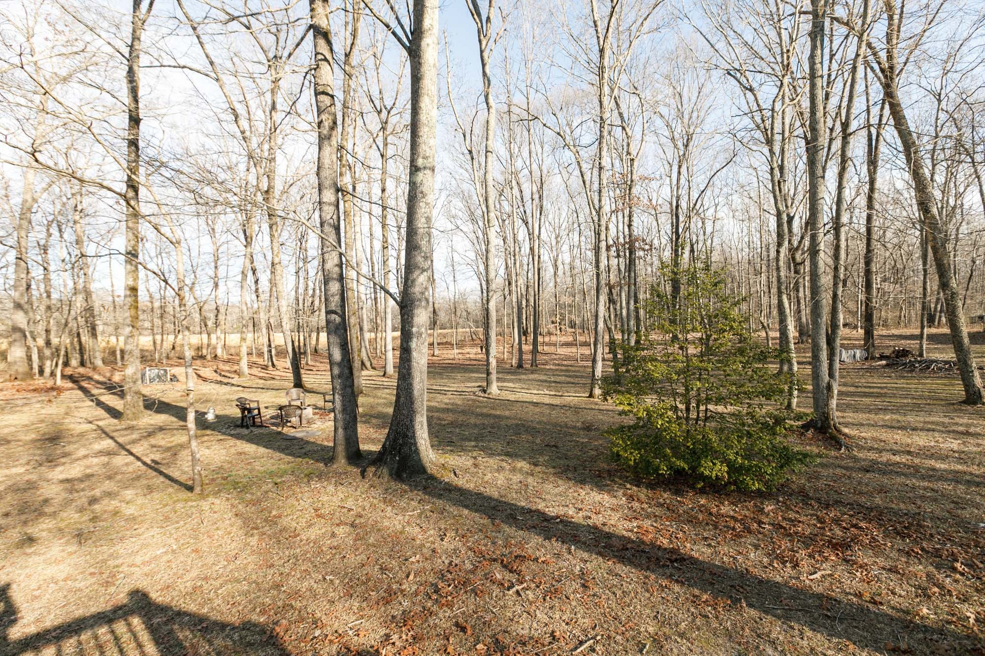 7126 Elrod Road Fairview, TN 37062 - Photo 12 of 36 a view of yard