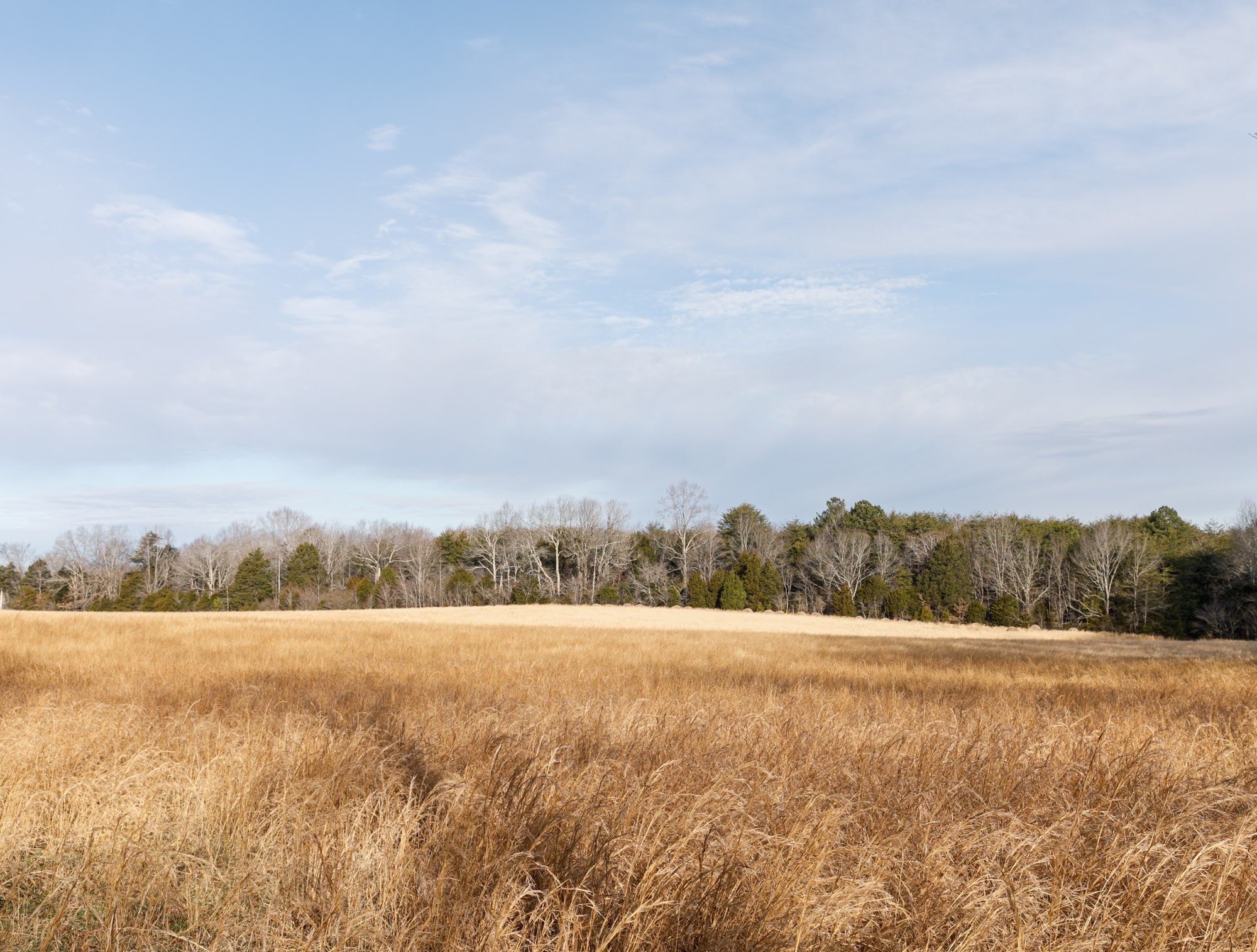 7126 Elrod Road Fairview, TN 37062 - Photo 2 of 36 a view of lake and yard