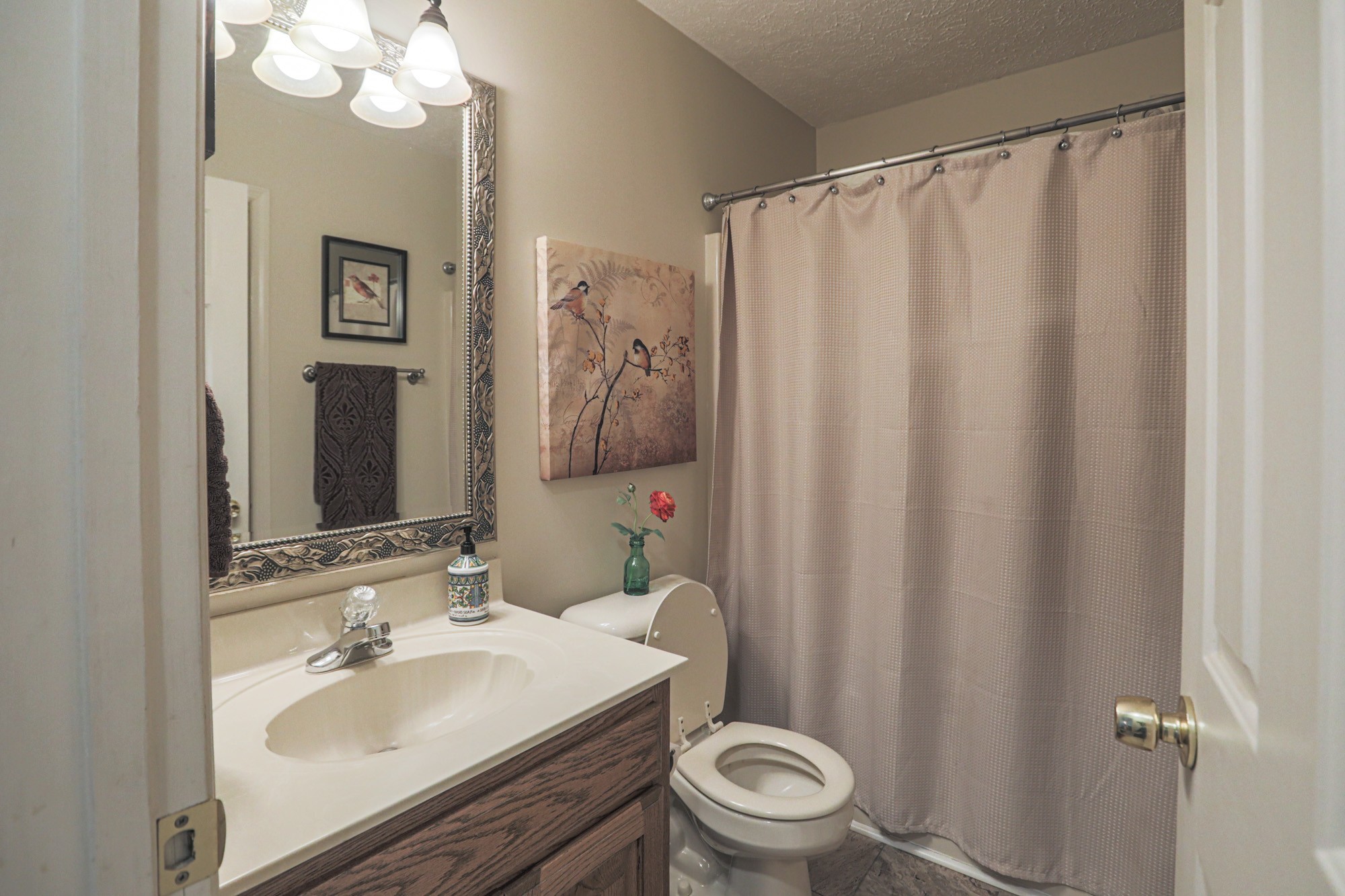 7126 Elrod Road Fairview, TN 37062 - Photo 22 of 36 a bathroom with a sink a toilet a mirror and shower curtain