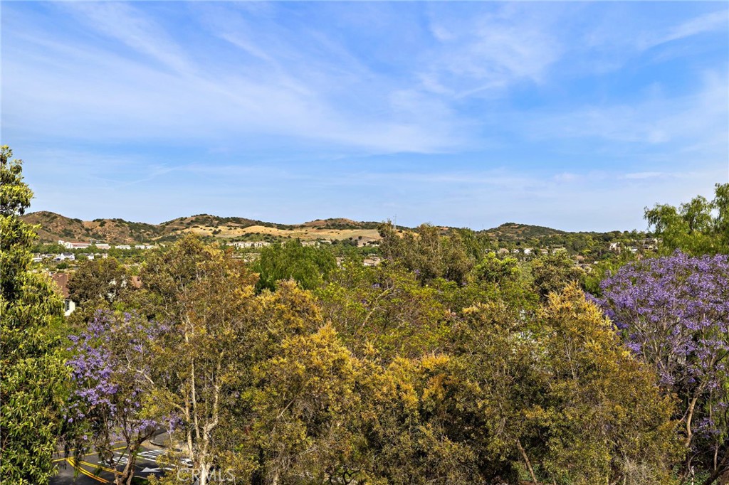 8 St Steven Court Ladera Ranch, CA 92694 - Photo 22 of 44