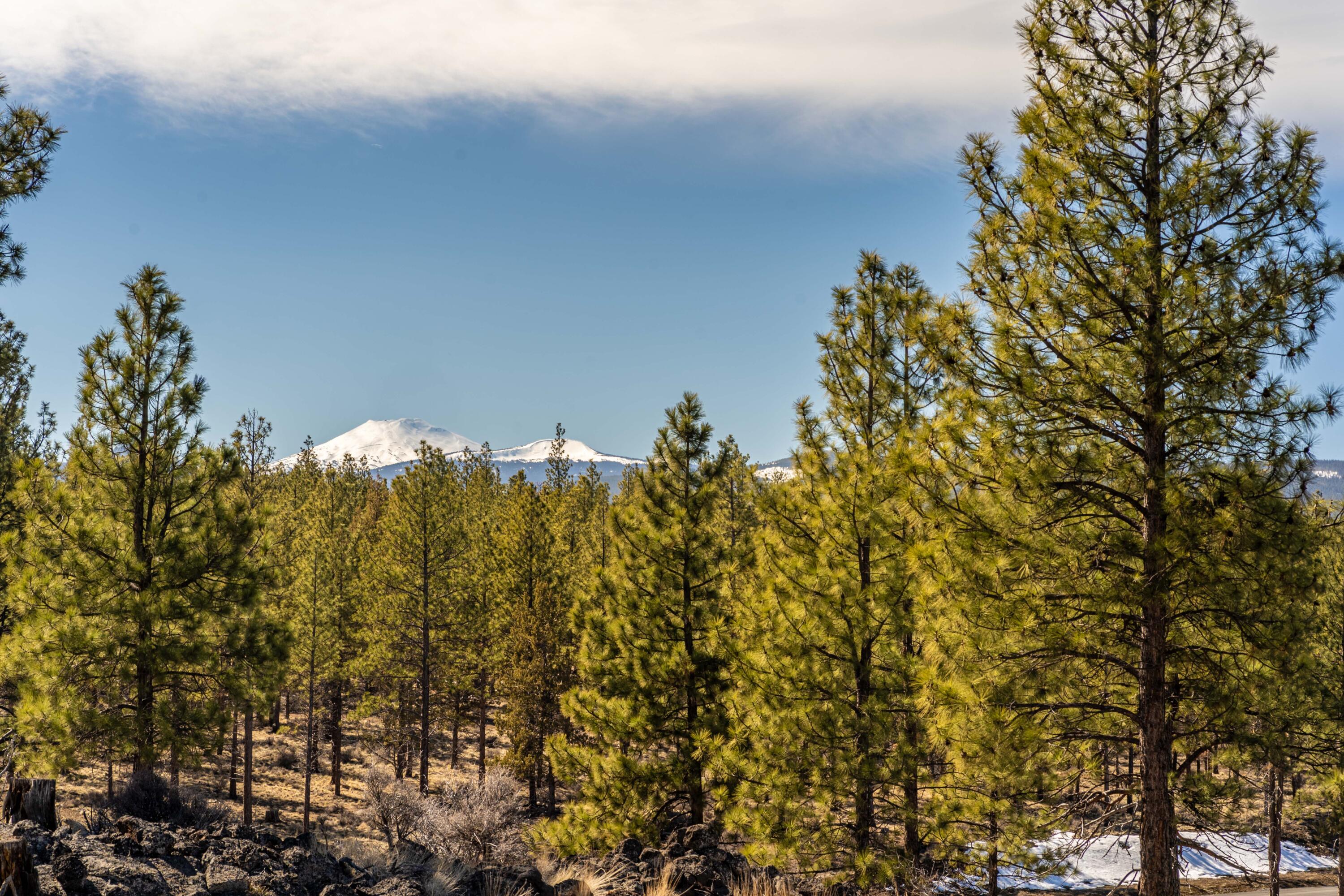 3 Skyline Ranch Road Bend, OR 97703 - Photo 1 of 18 DSC06356-HDR