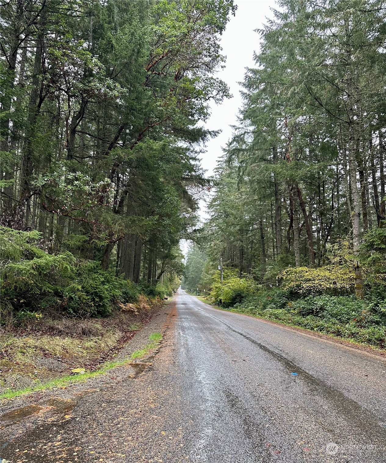 11419 Guthrie Road Anderson Island, WA 98303 - Photo 2 of 12 Gallery Image 2