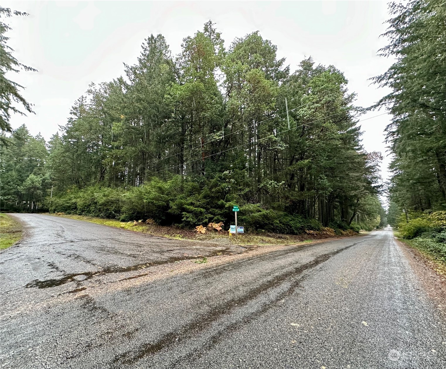 11419 Guthrie Road Anderson Island, WA 98303 - Photo 3 of 12 Gallery Image 3