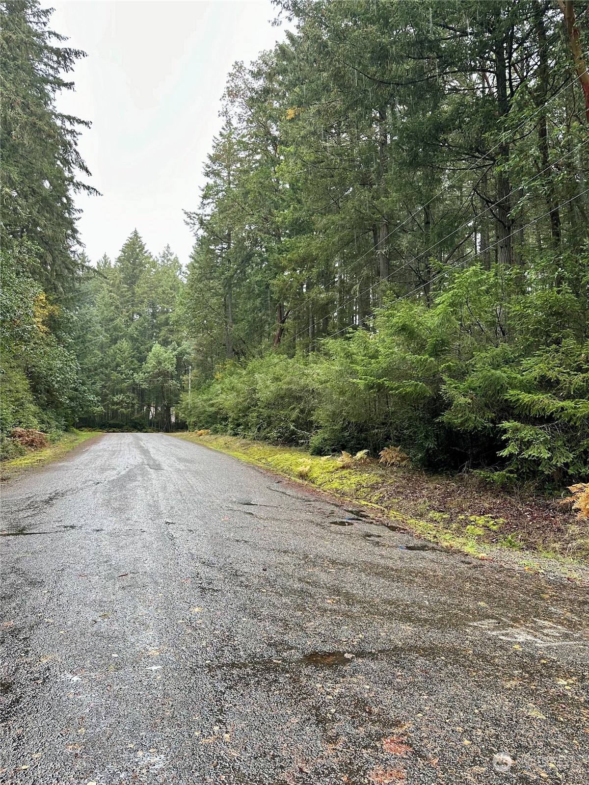 11419 Guthrie Road Anderson Island, WA 98303 - Photo 4 of 12 Gallery Image 4