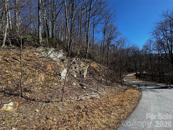 a view of a backyard of the house