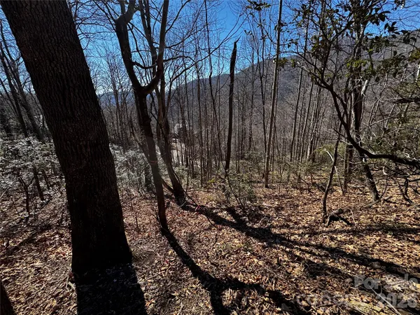 $55,000 | Tbd Acacia Court, Unit 936, Black Mountain, NC 28711