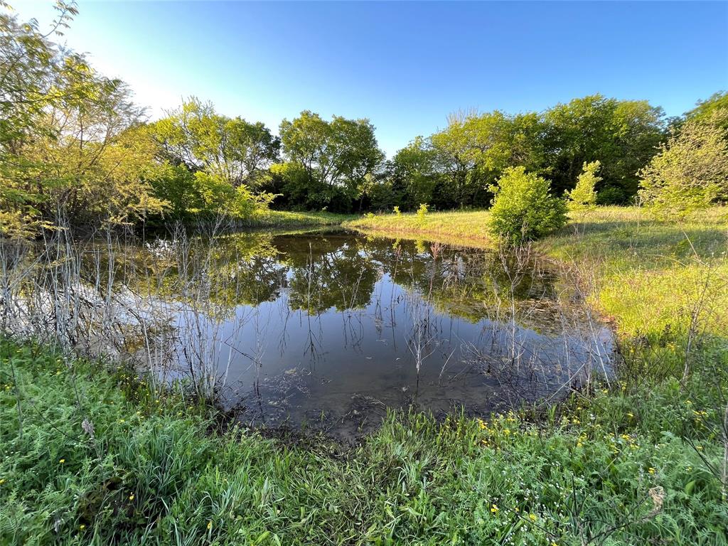 0 Block Road Gunter, TX 75058 - Photo 6 of 6