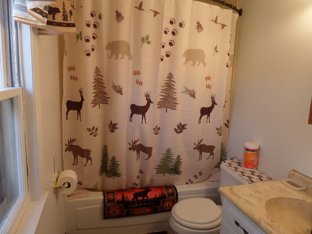 3338 North Union Road Polo, IL 61064 - Photo 14 of 24 a bathroom with a sink toilet and shower