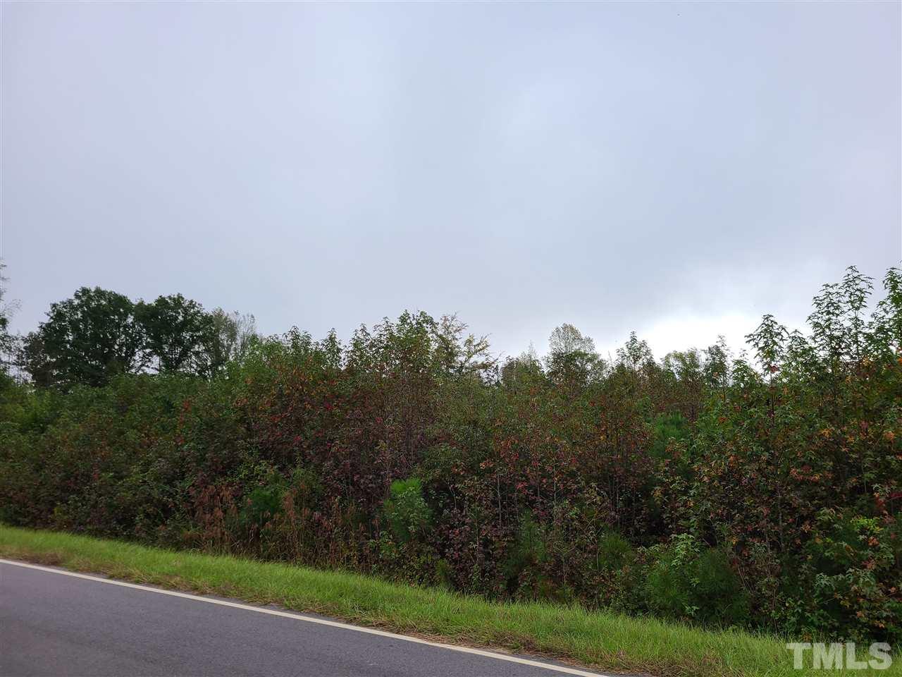 0 Lettuce Hall Road, Unit LOT 2 Spring Hope, NC 27882 - Photo 3 of 4 a view of a yard