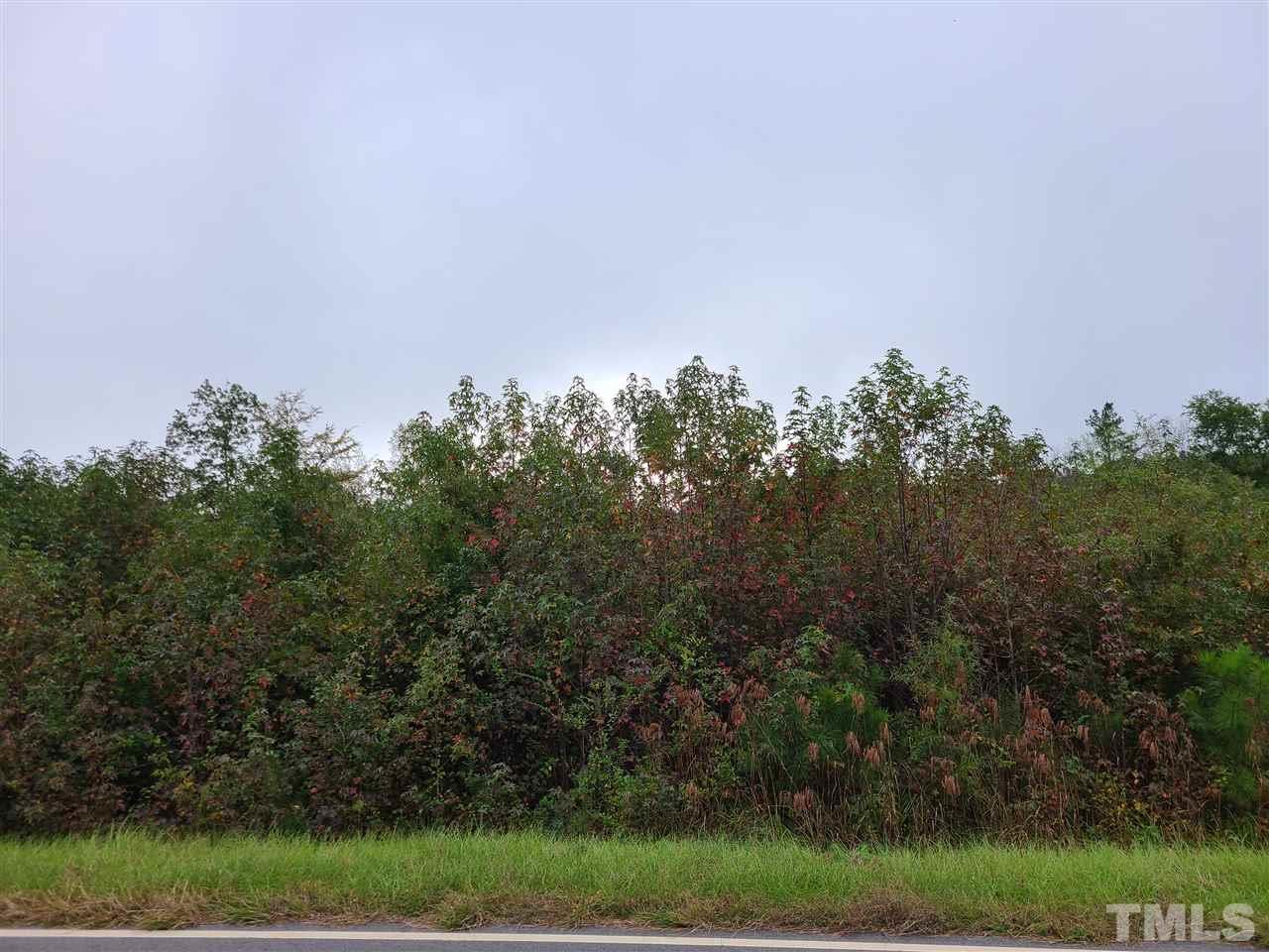 0 Lettuce Hall Road, Unit LOT 2 Spring Hope, NC 27882 - Photo 4 of 4 a view of a yard with a tree in the background