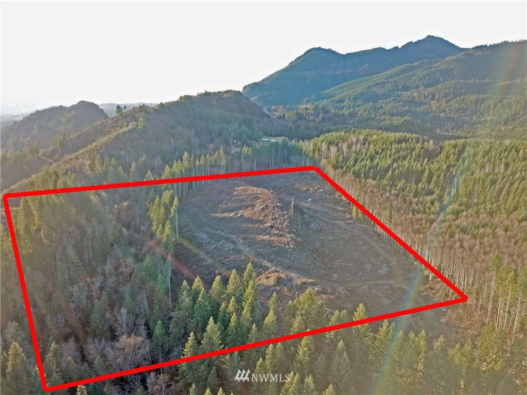 196 Coleman Hill Road Randle, WA 98377 - Photo 1 of 22