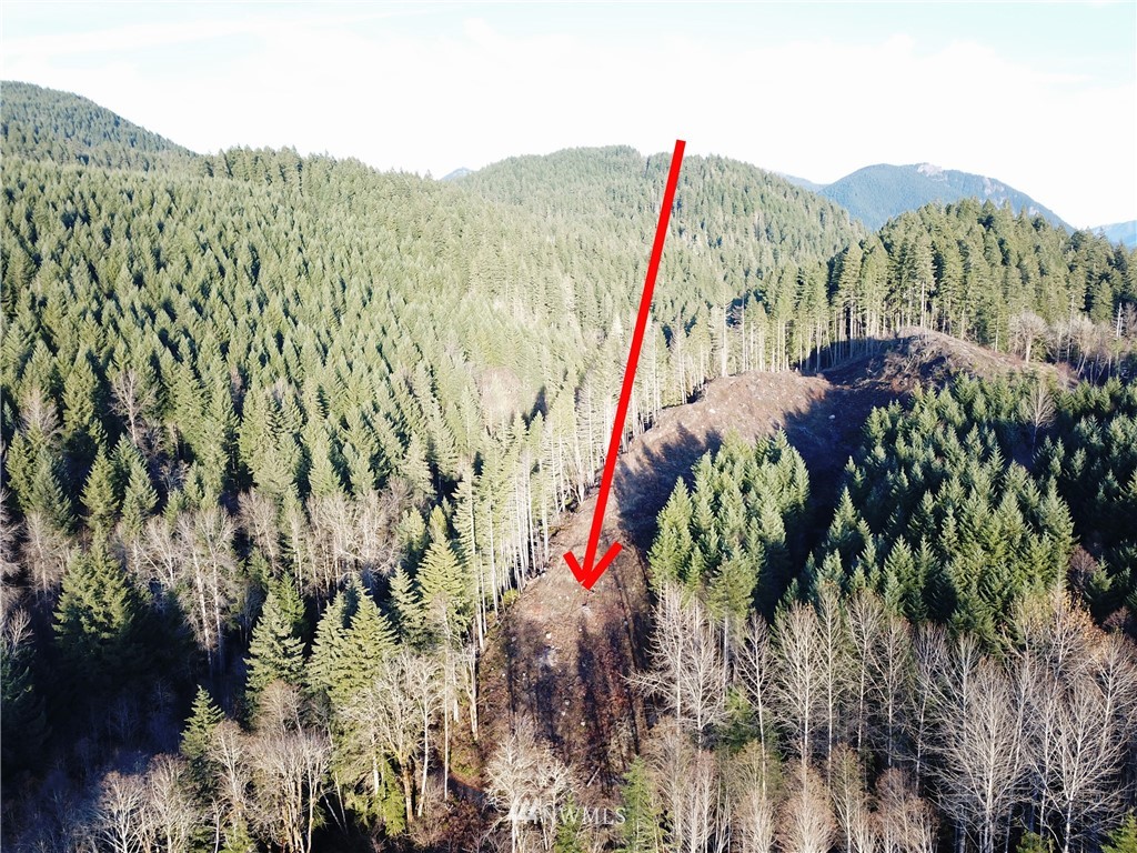 196 Coleman Hill Road Randle, WA 98377 - Photo 11 of 22